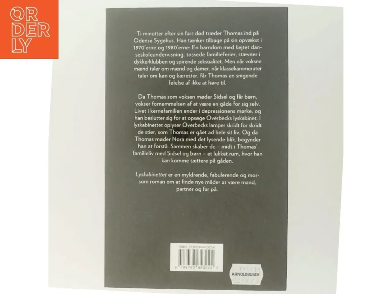 Billede 3 - Lyskabinettet : roman af Morten Ramsland (Bog)