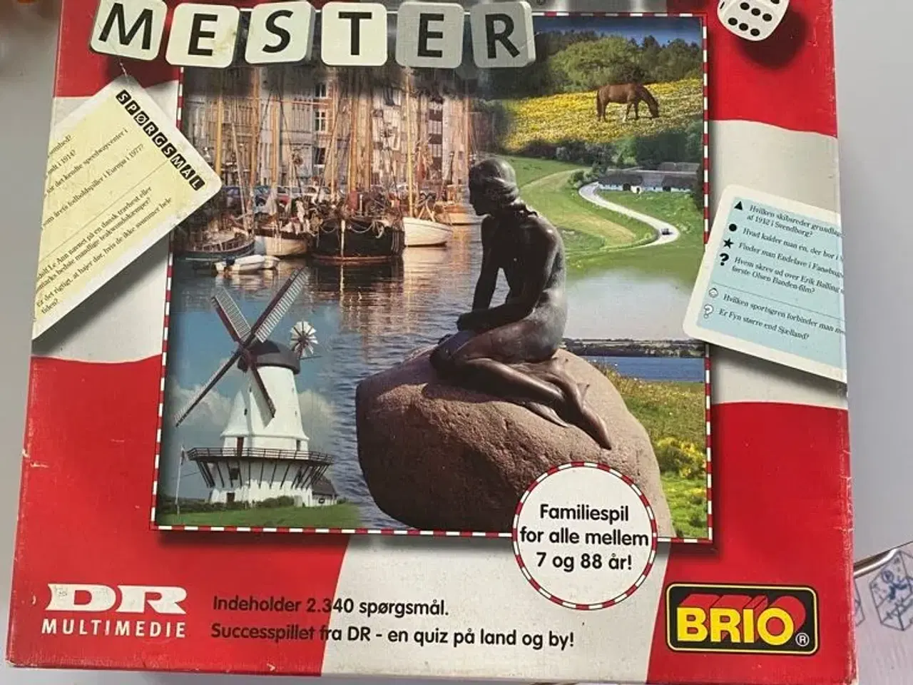 Billede 1 - Danmarks mester