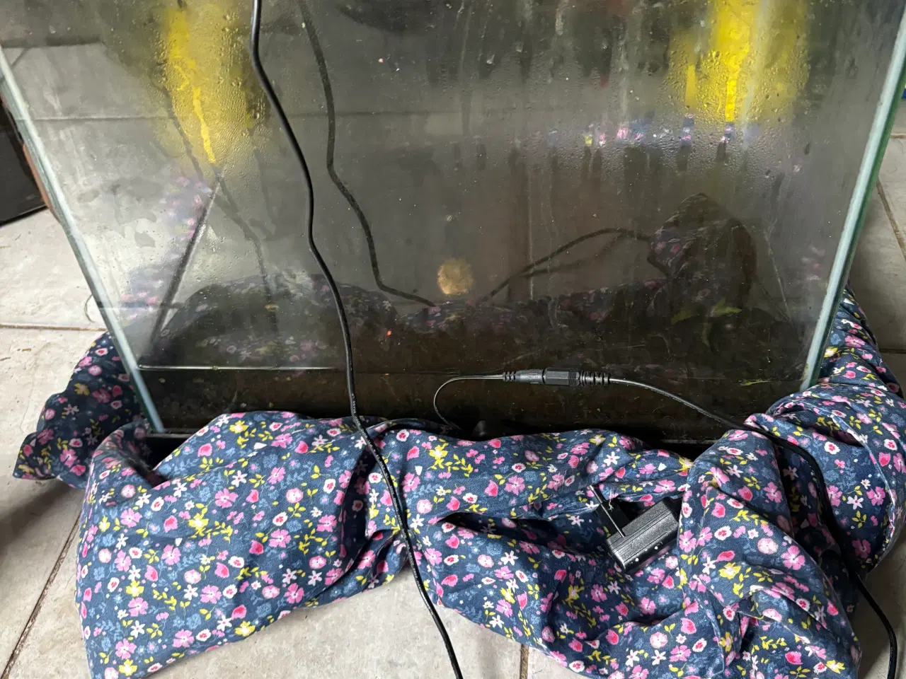 Billede 1 - Akvarium 54 liter 