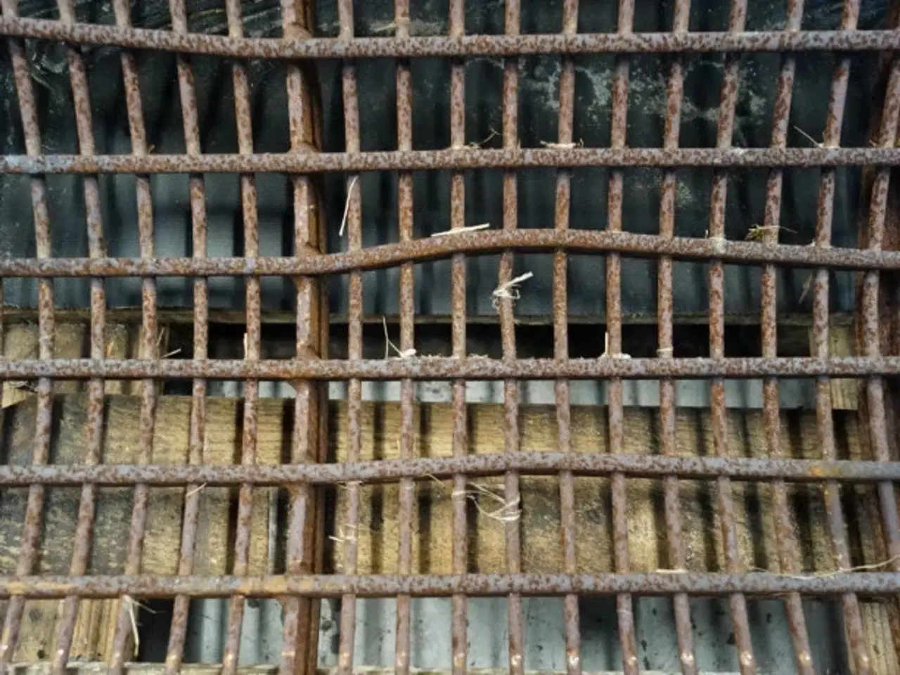 Billede 8 - Claas Lexion 405 Bro 7561841