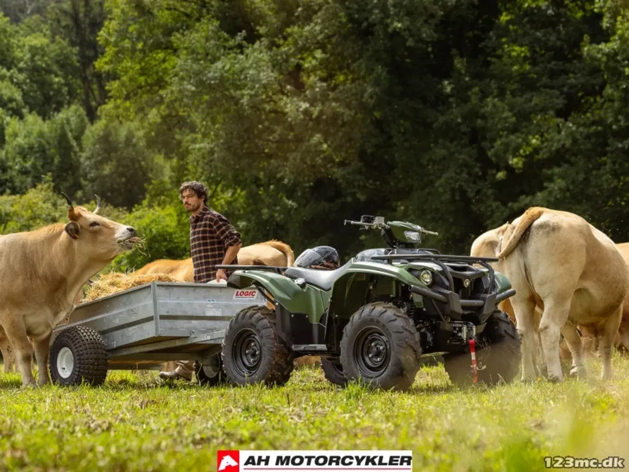 Billede 16 - Yamaha Kodiak 700 EPS Traktor