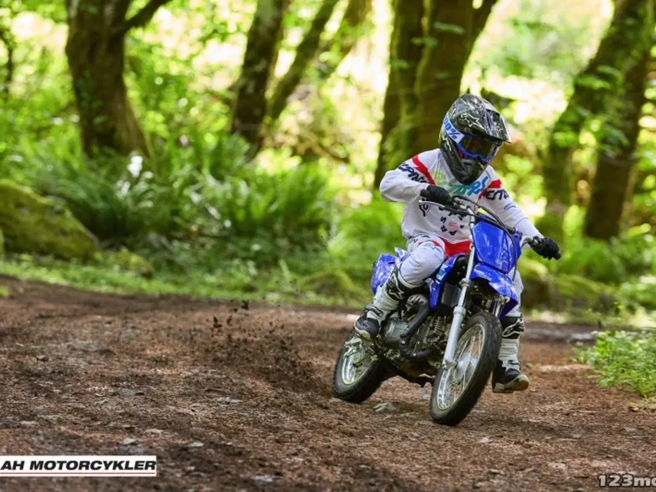 Billede 6 - Yamaha TTR 110