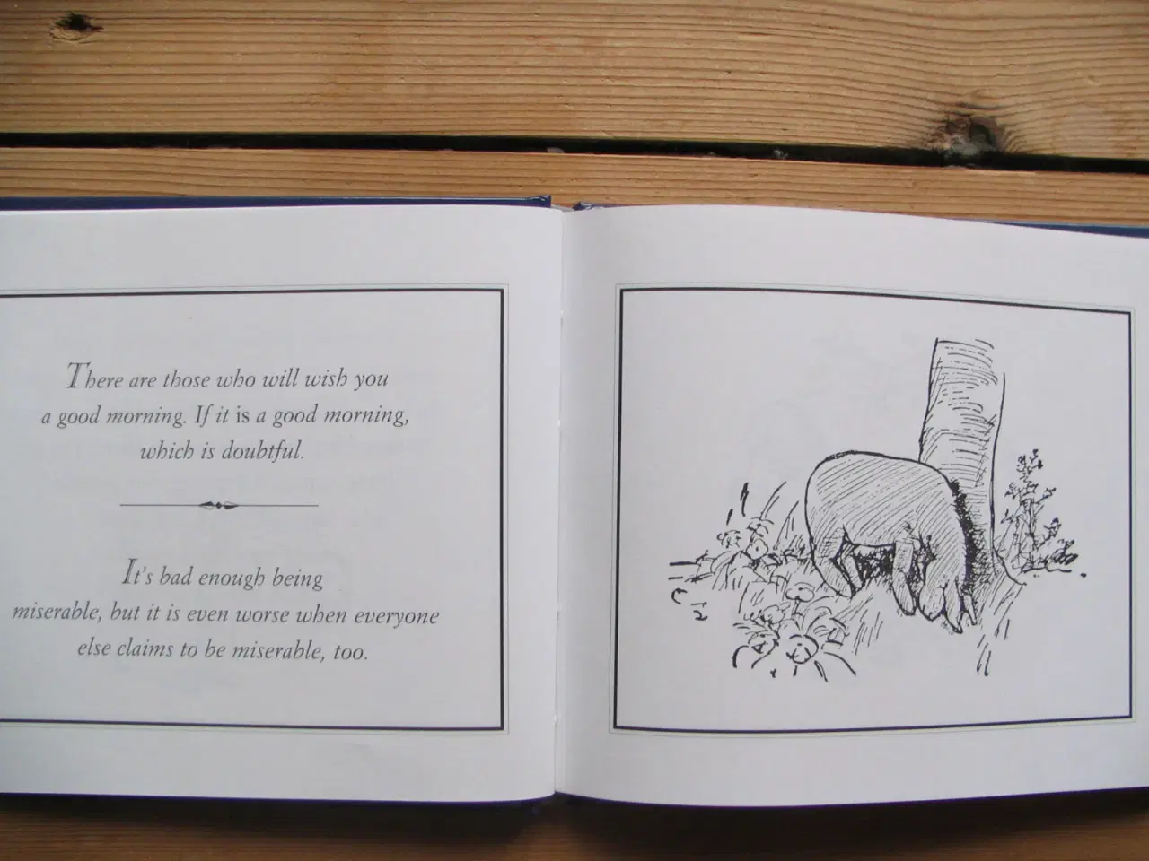 Billede 4 - Eeyore's Gloomy Little Instruction Book