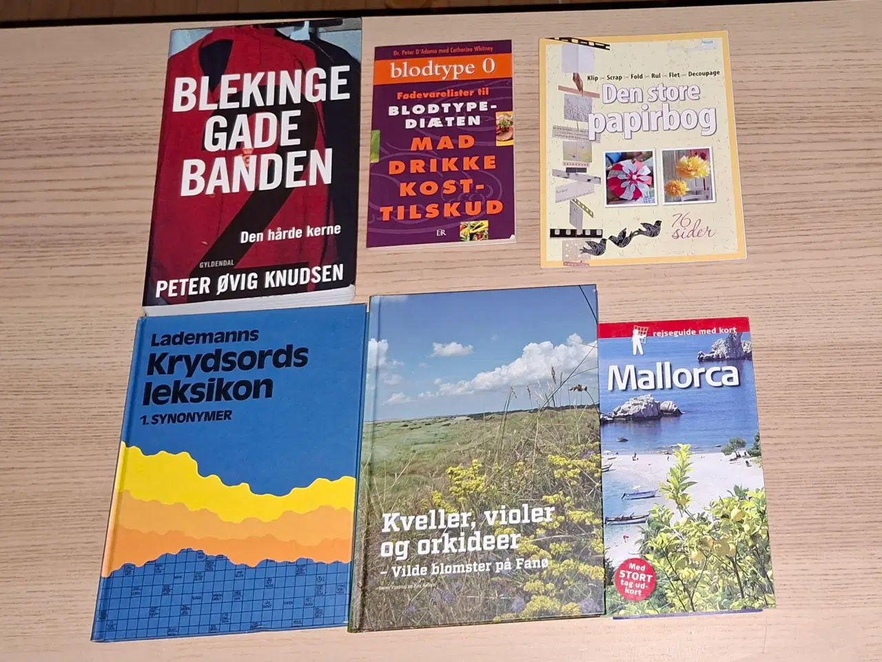 Billede 1 - Krydsords leksikon