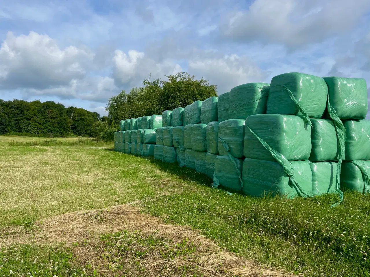 Billede 2 - Wrap fra juni 2025