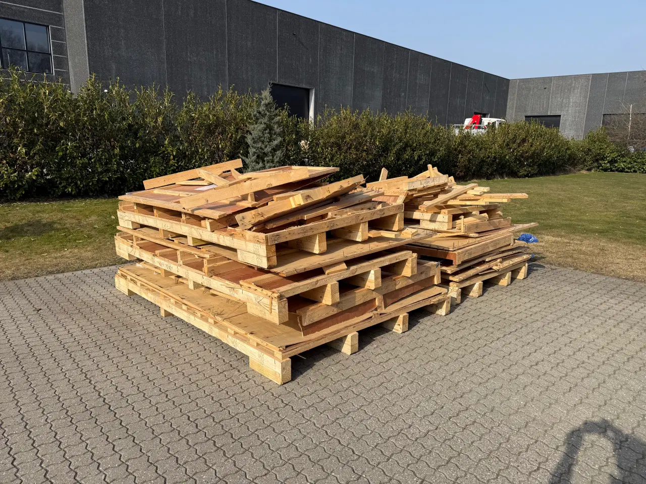 Billede 1 - Træ gives bort