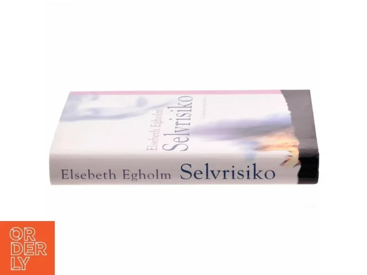 Billede 2 - Selvrisiko af Elsebeth Egholm (Bog)
