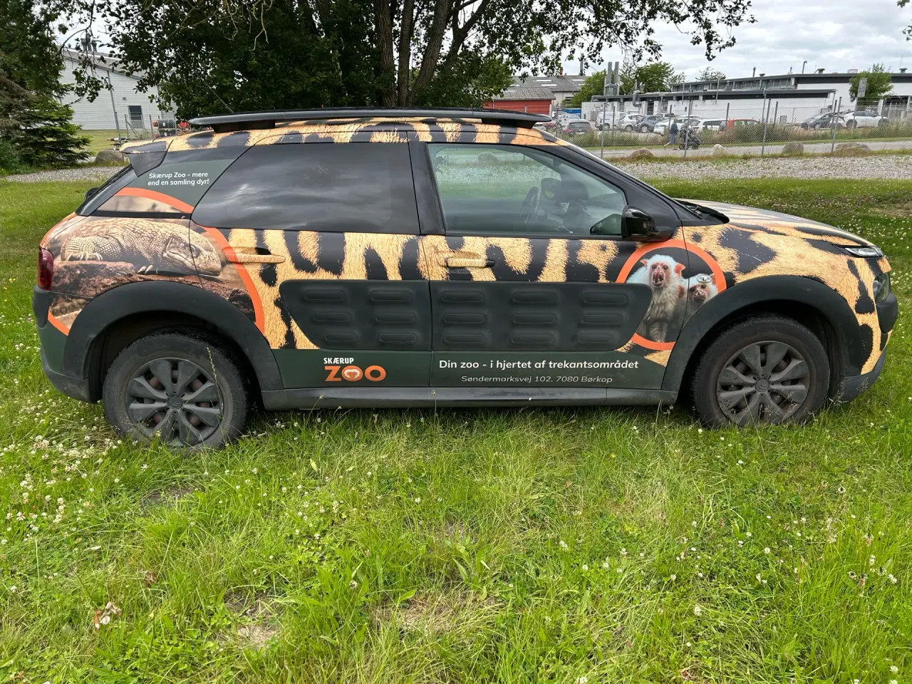 Billede 5 - Citroën C4 Cactus 1,6 Blue HDi Shine start/stop 100HK 5d