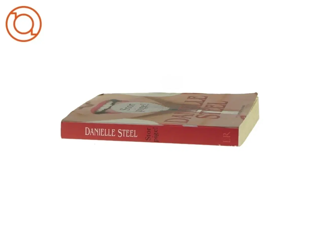 Billede 3 - Stor pige af Daniel Steel (Bog)