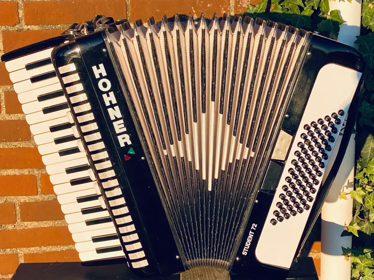 Billede 7 - Hohner Student 72 – allround harmonika sælges fra 