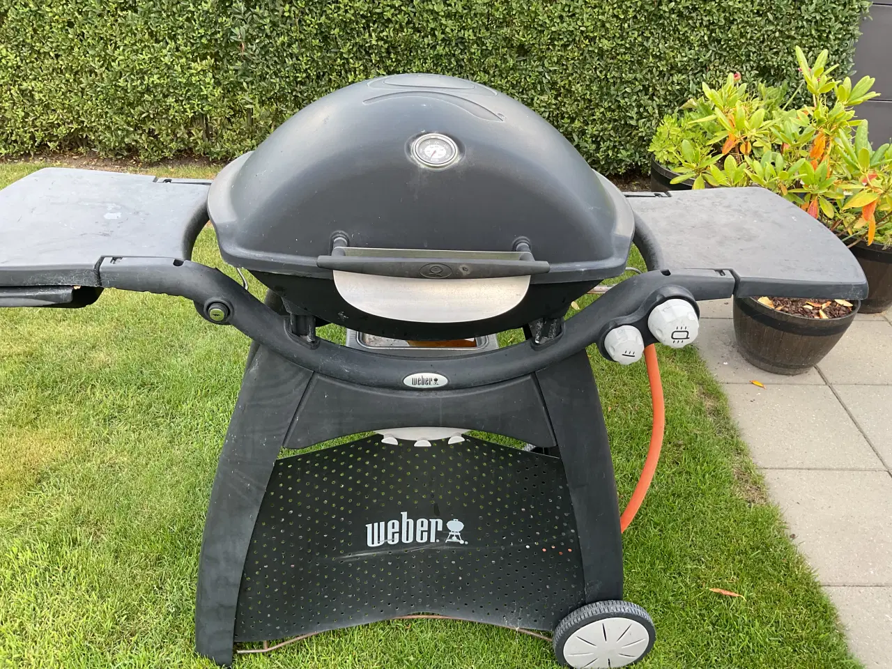 Billede 1 - Weber gasgrill Q-300