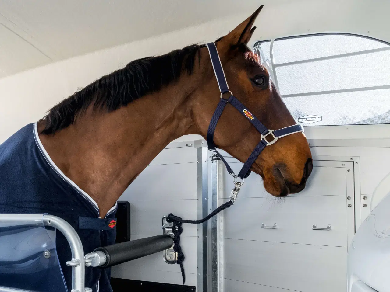 Billede 6 - Böckmann Portax Esprit 25 med udstyrspakke