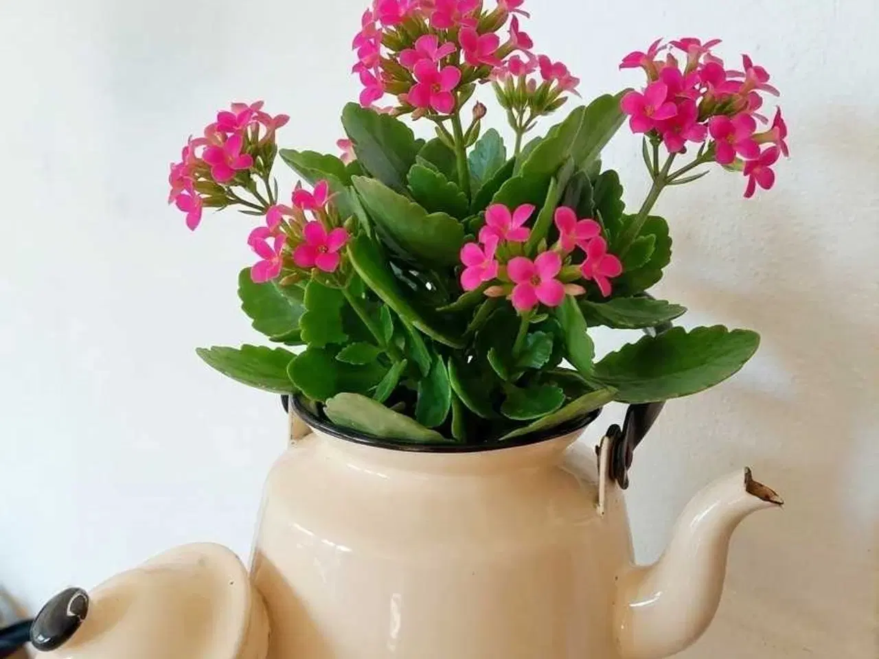 Billede 1 - Charmerende retro emaljekande