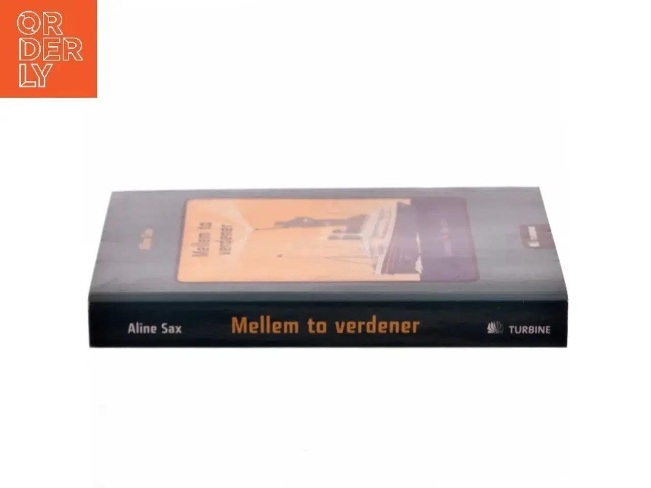 Billede 2 - Mellem to verdener af Aline Sax (Bog)