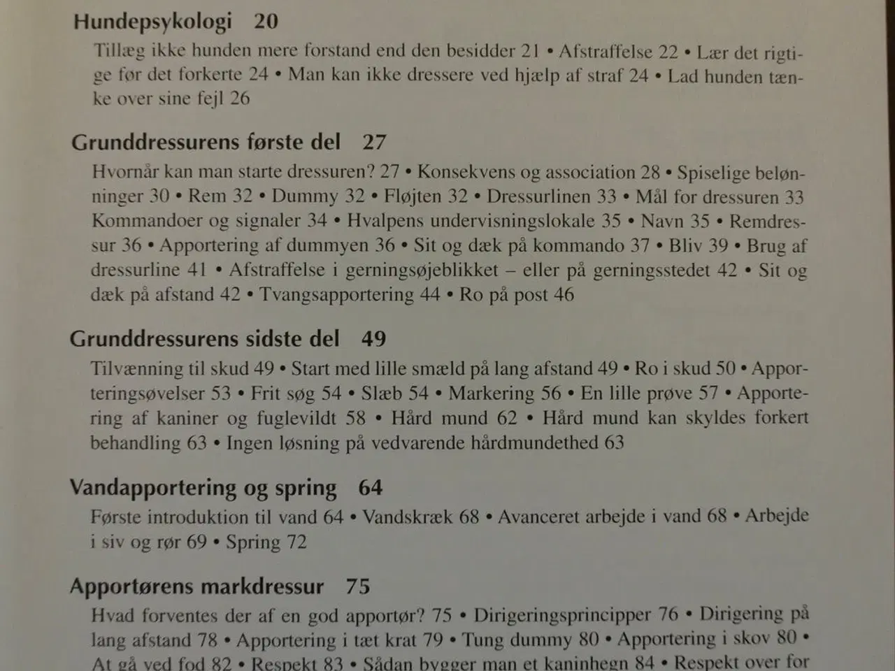 Billede 2 - jagthunde - jagt- og markprøvetræning, af p. r. a.