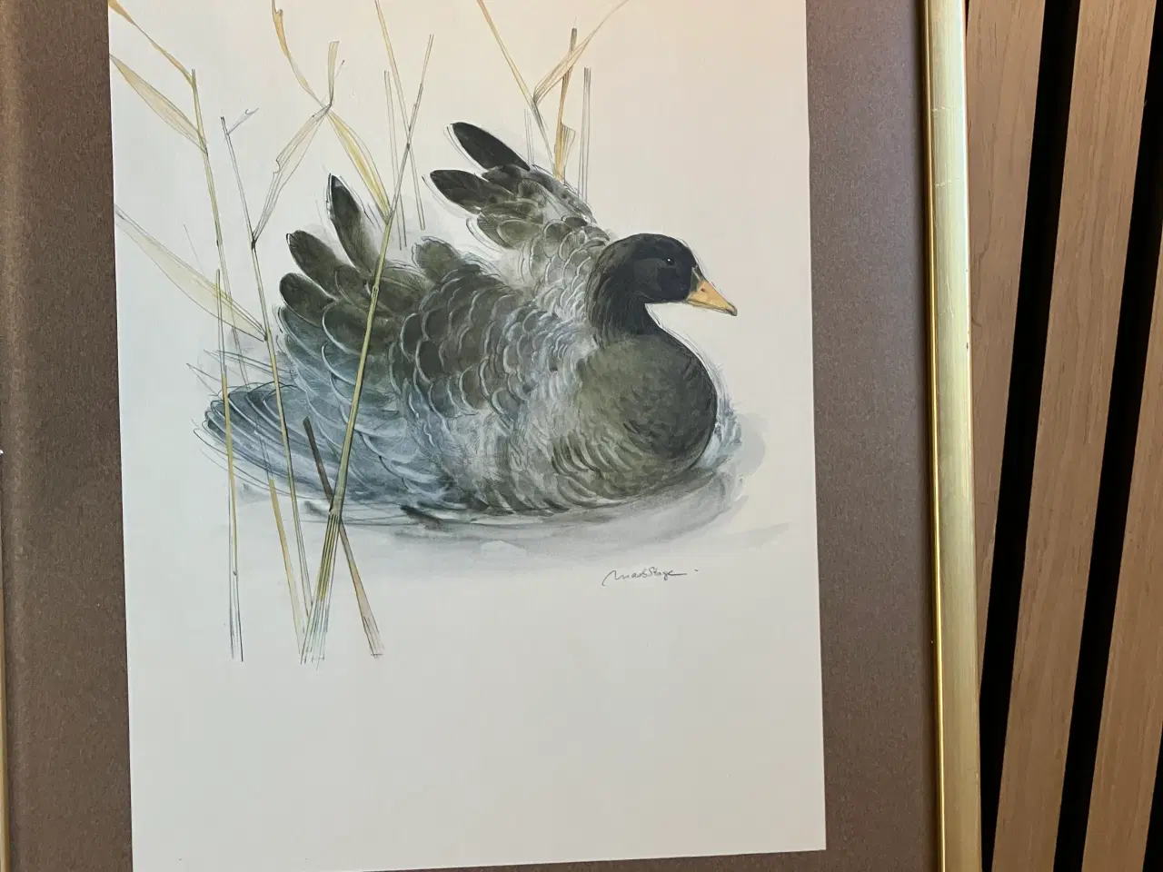 Billede 2 - Vintage billede af Mads Stage