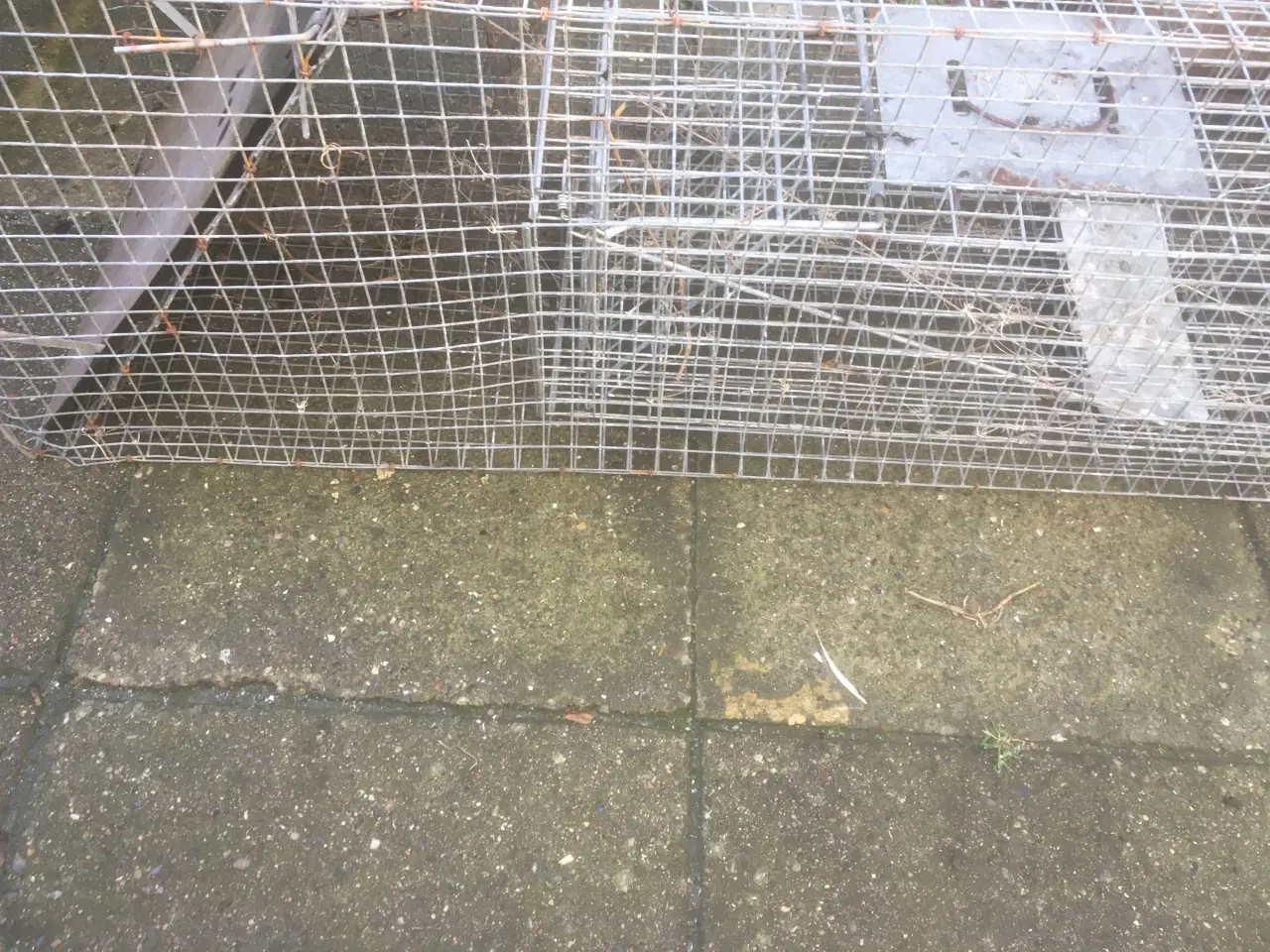 Billede 4 - Ræve/+mår fælder