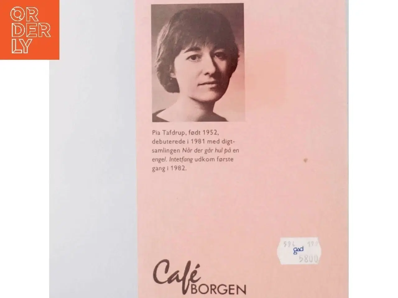 Billede 3 - Pia Tafdrup: Intetfang