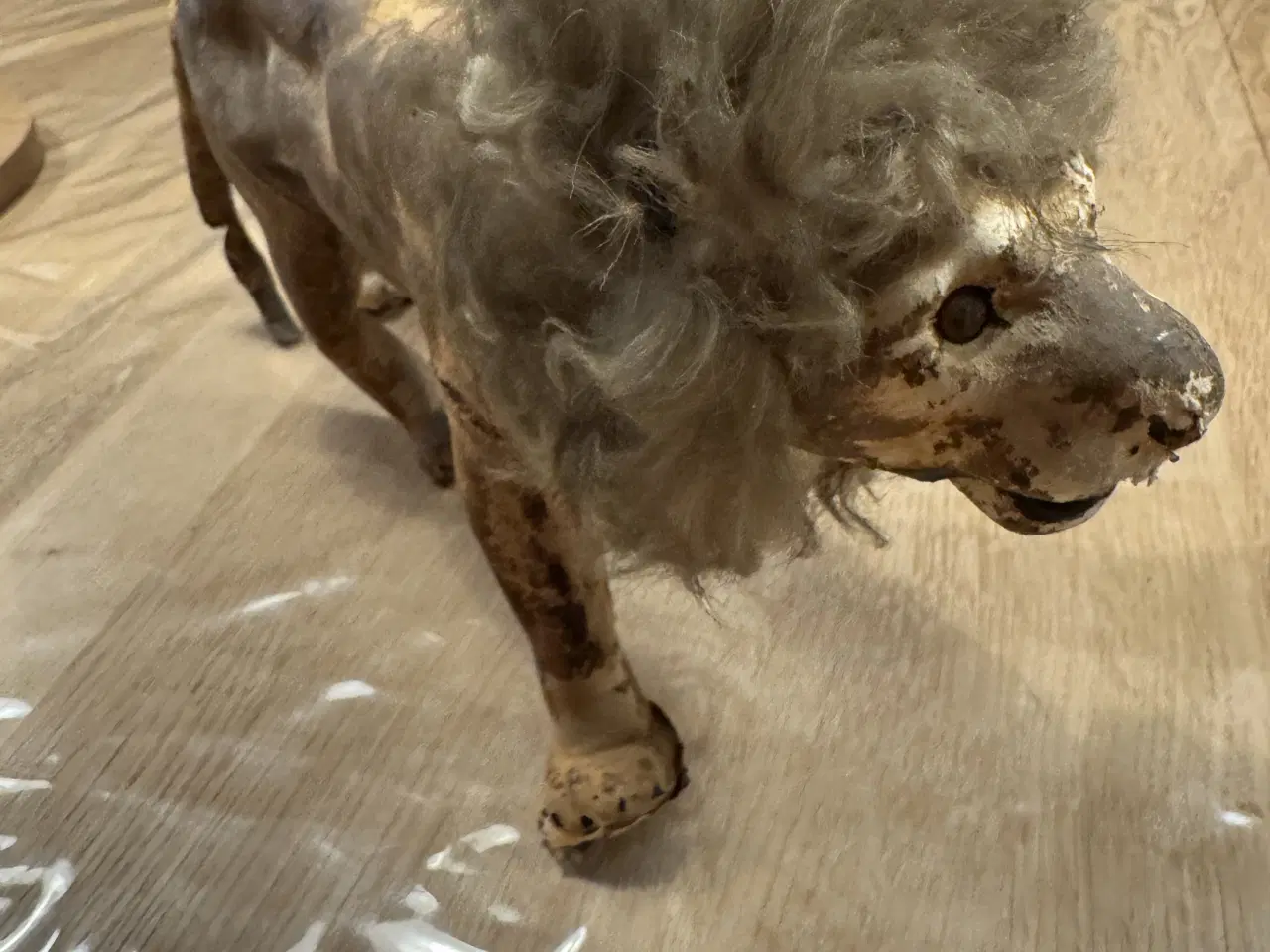 Billede 2 - Antik Hanløve