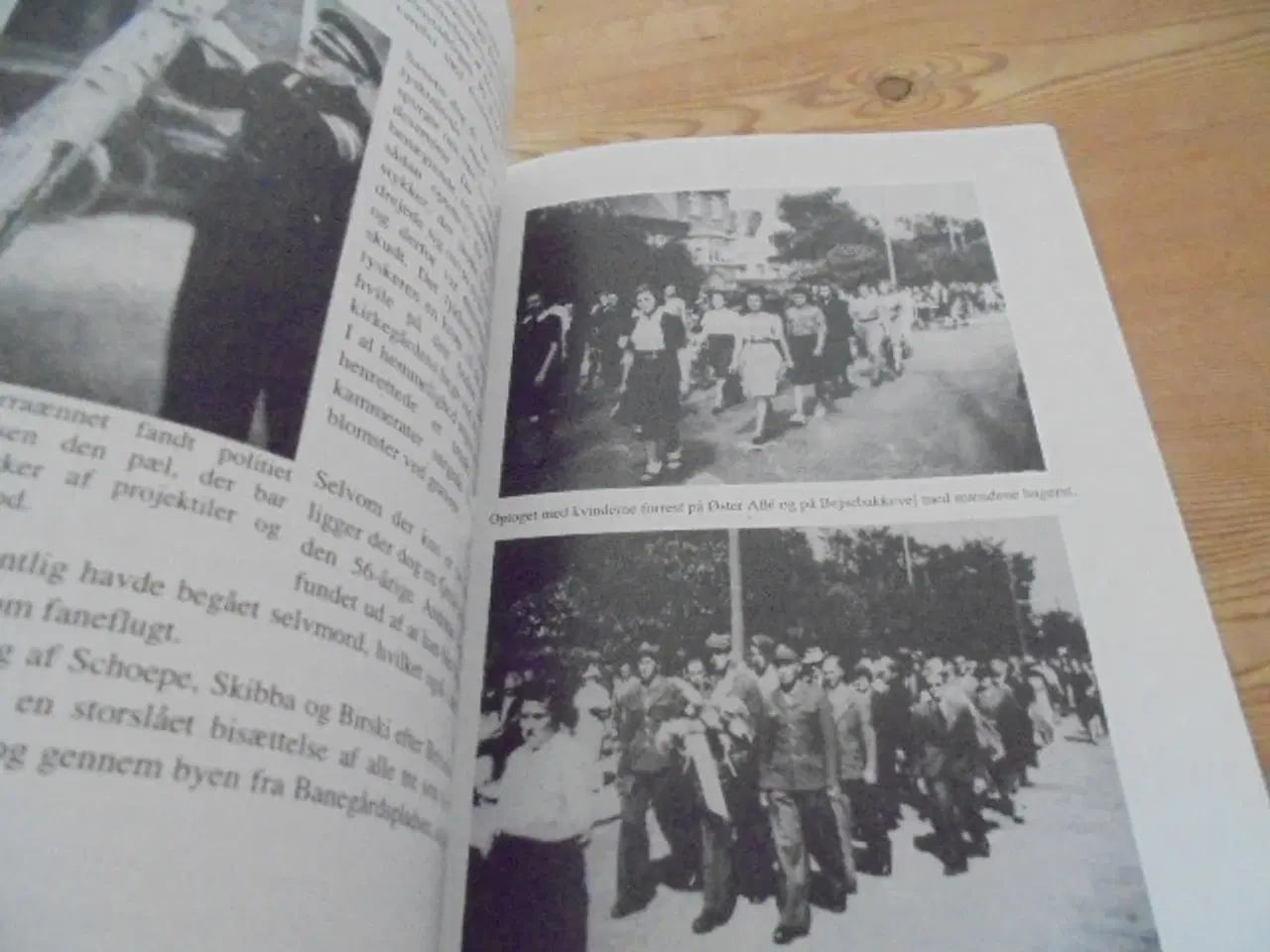 Billede 8 - DET DRAMATISKE NORDJYLLAND