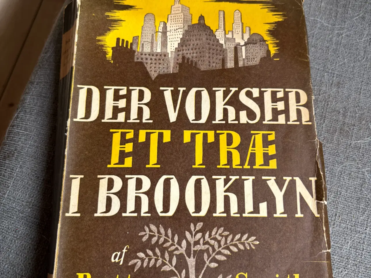 Billede 1 - Der vokser et træ i Brooklyn 