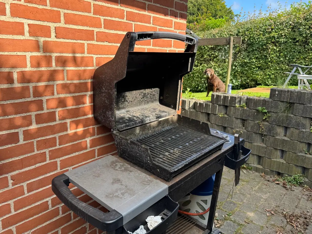 Billede 2 - weber gas griller 