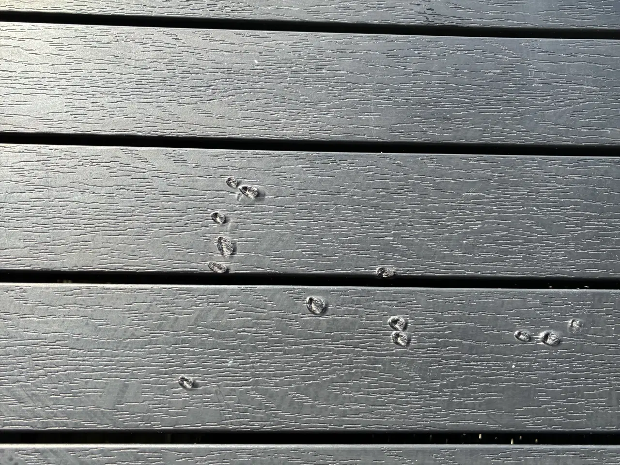 Billede 3 - Bord med 6 stole