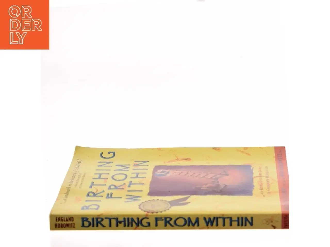 Billede 2 - Birthing from within : an extra-ordinary guide to childbirth preparation (Bog)