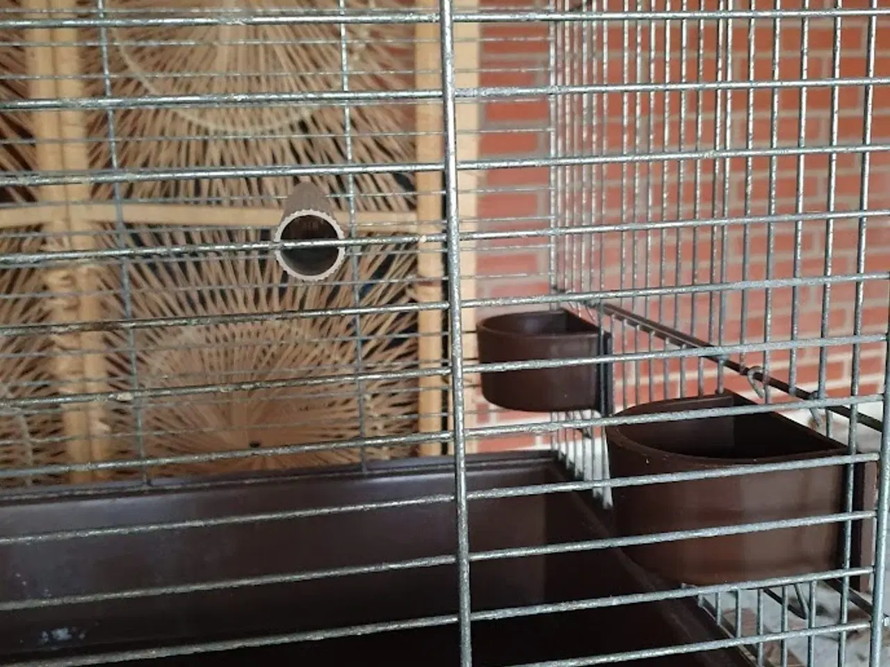 Billede 4 - Fuglebur