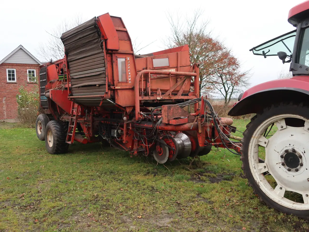 Billede 2 - Kartoffeloptager Grimme DR 1500