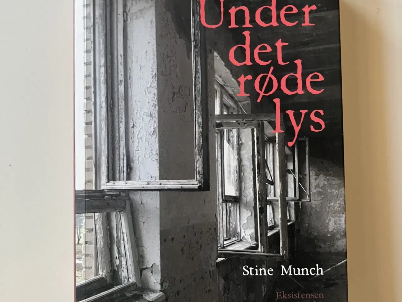 Billede 1 - Under det røde lys. Af Stine Munch