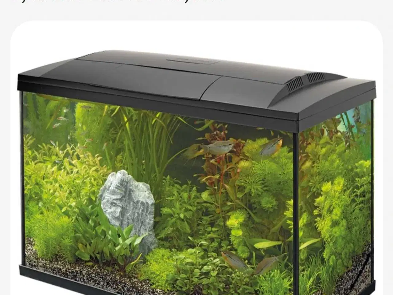 Billede 8 - Akvarier 150L
