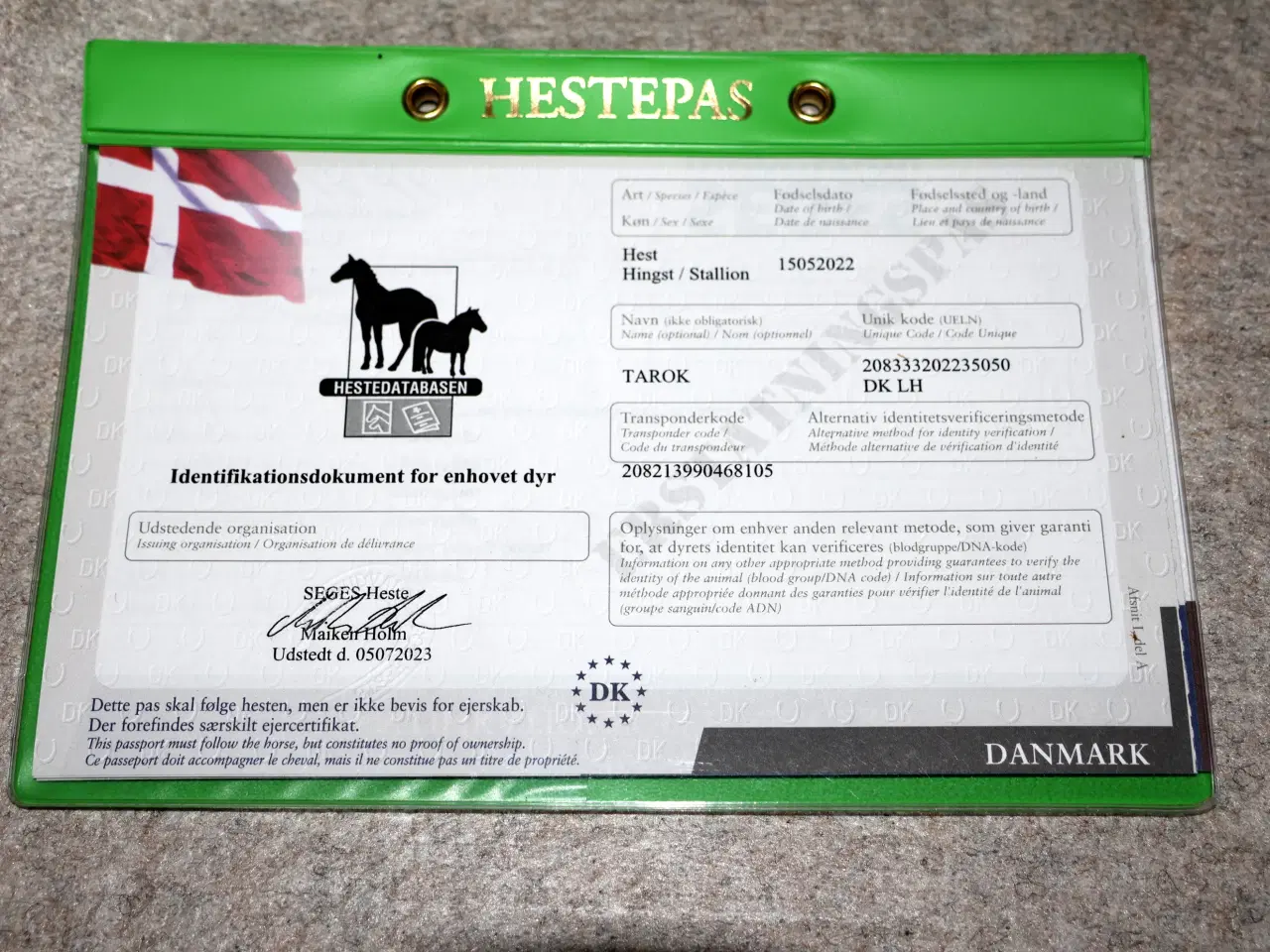Billede 8 -  Islænder. Tarok (brun broget) født 15/5-2022.