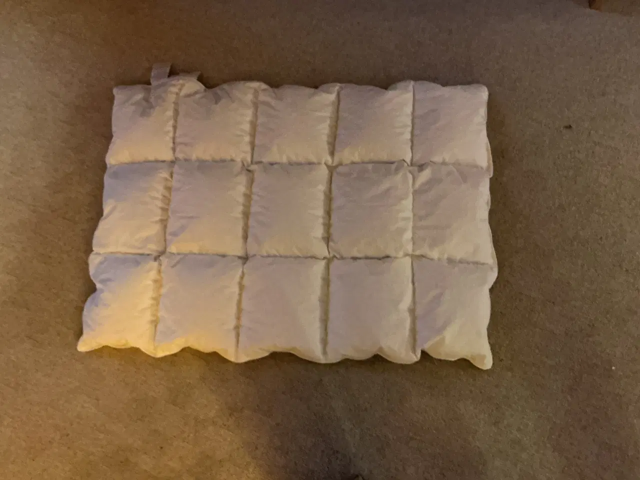 Billede 1 - Moskusdundyne