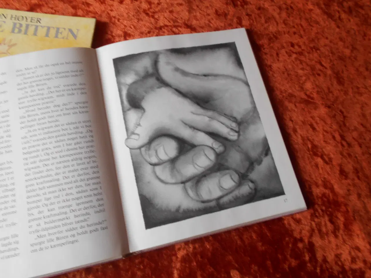 Billede 5 - Lille Bitten, Jon Høyer,