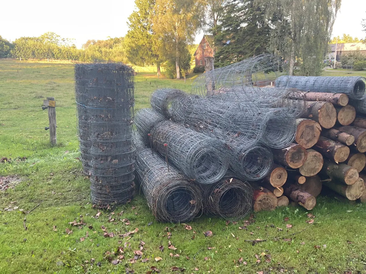 Billede 2 - Vildthegn og 1/2” jernrør 