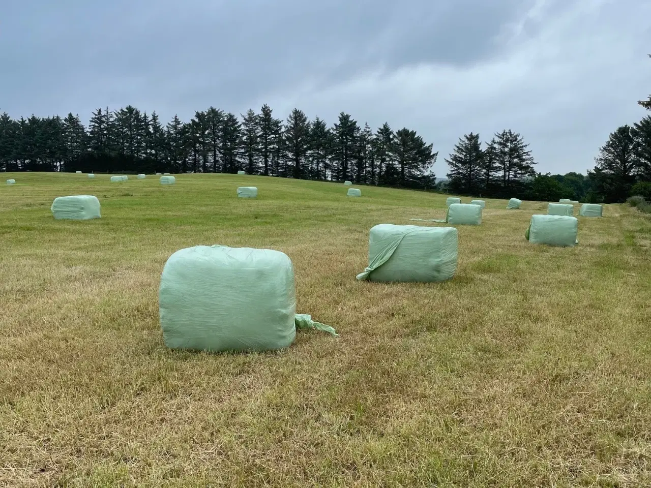 Billede 2 - Super wrap hø