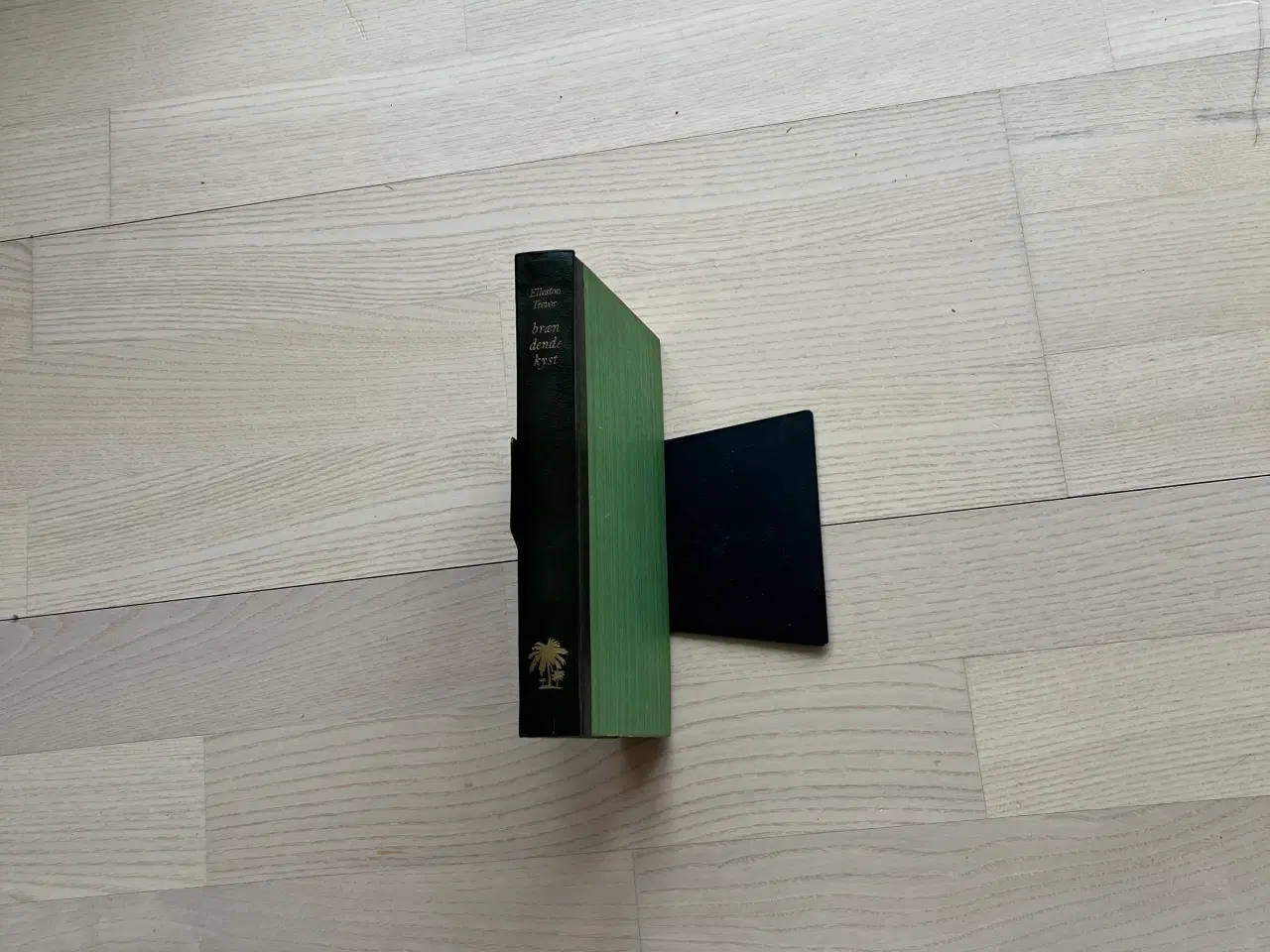 Billede 1 - Brændende kyst - af Elleston Trevor