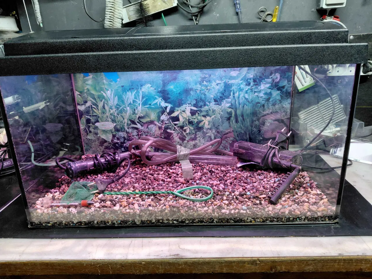 Billede 5 - Akvarier 54L 