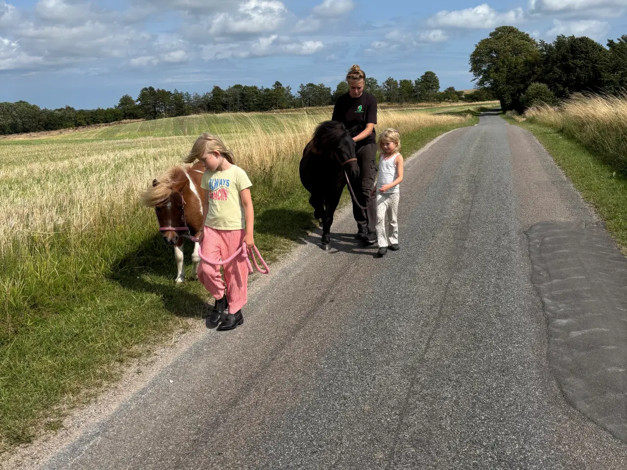 Billede 2 - Shetlandspony sælges