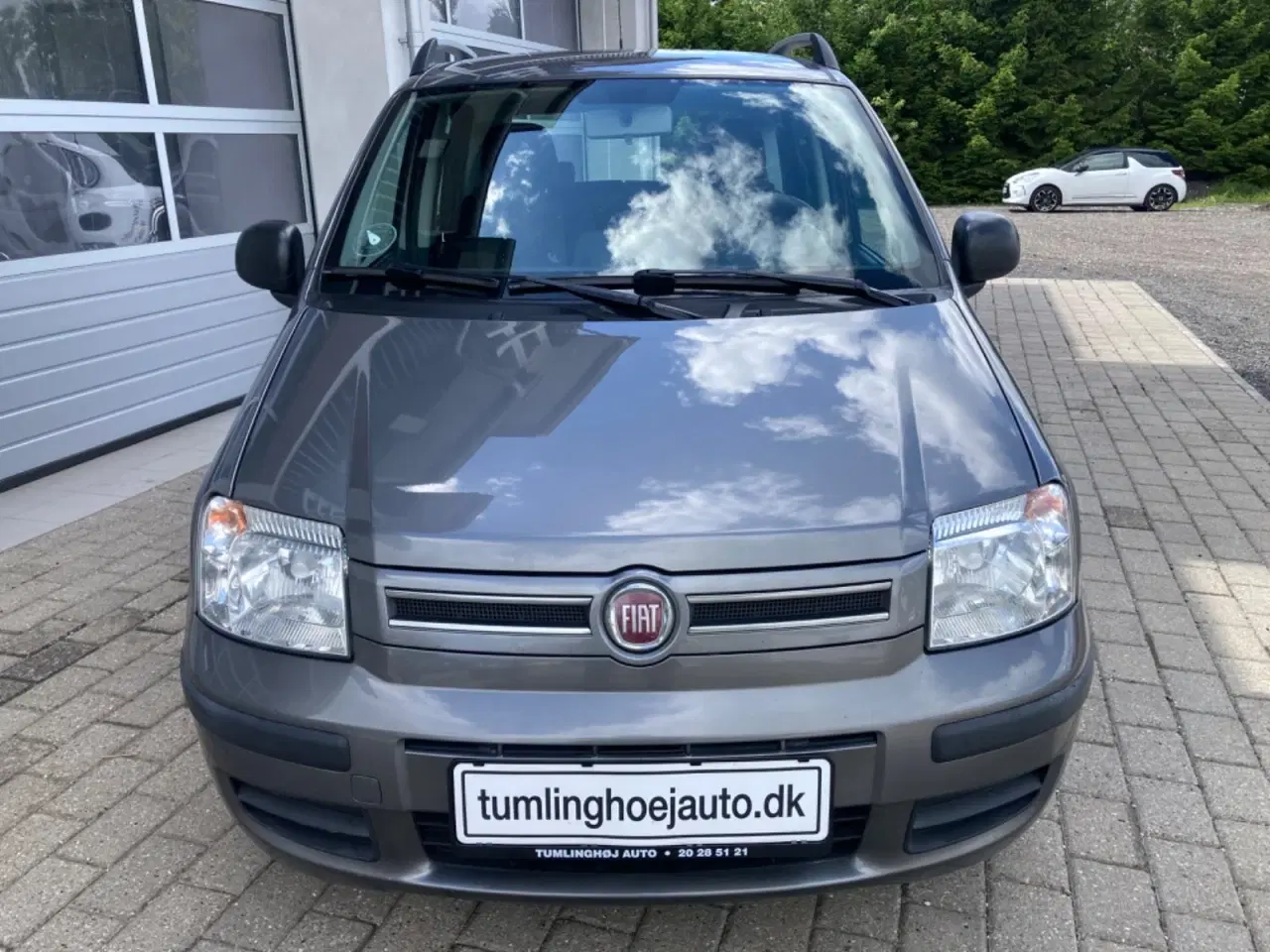 Billede 3 - Fiat Panda 1,2 69 Dynamic