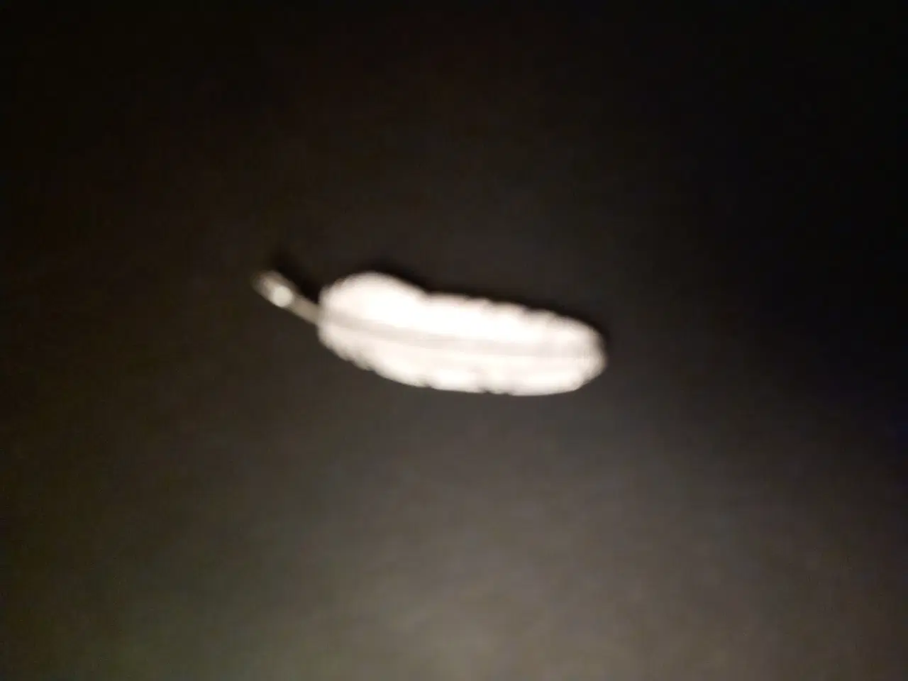 Billede 1 - Vedhæng. Fjer sølv heiring