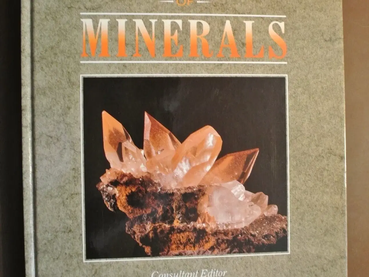 Billede 3 - the complete mineral collector. two books and a mi