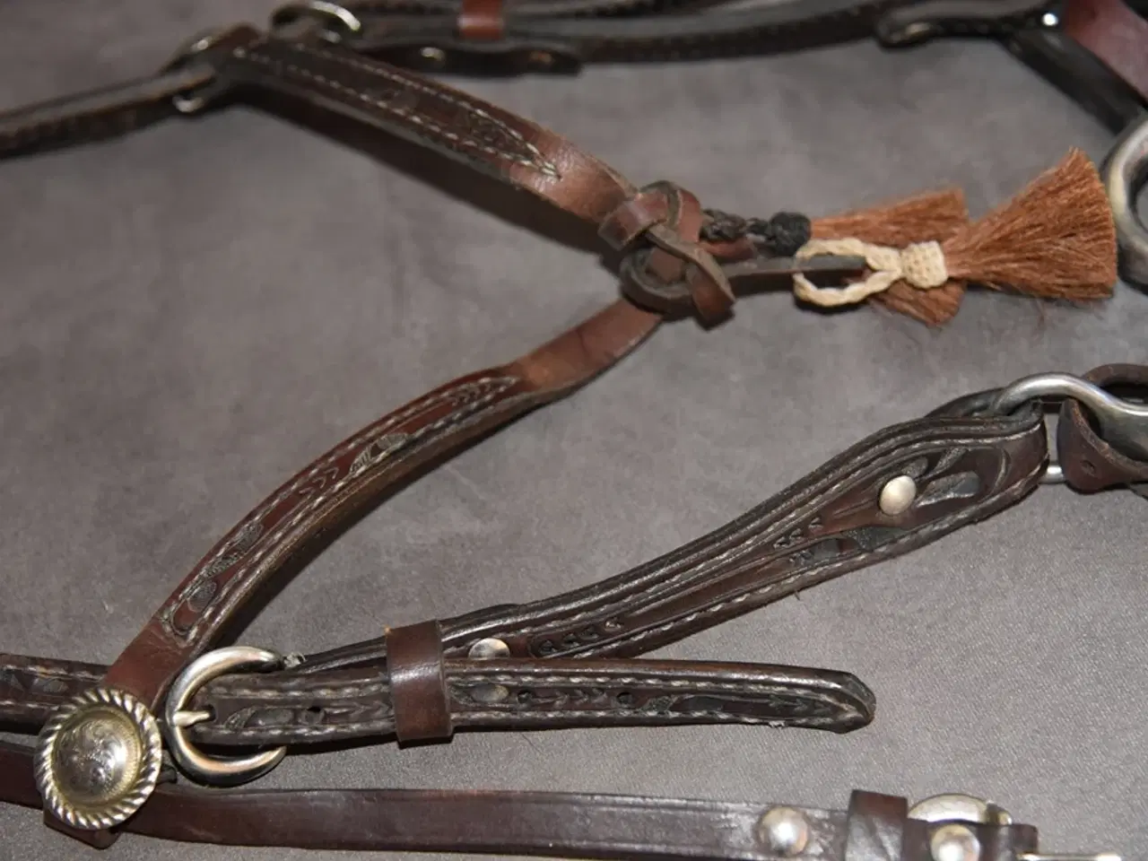 Billede 2 - Meget flot hestetrense med Half Breed bid