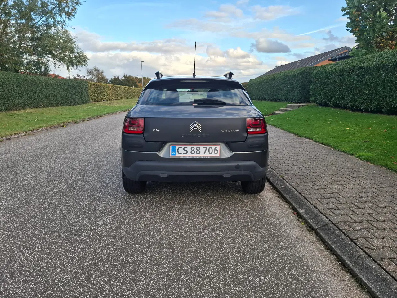 Billede 6 - Citroen C4 Cactus