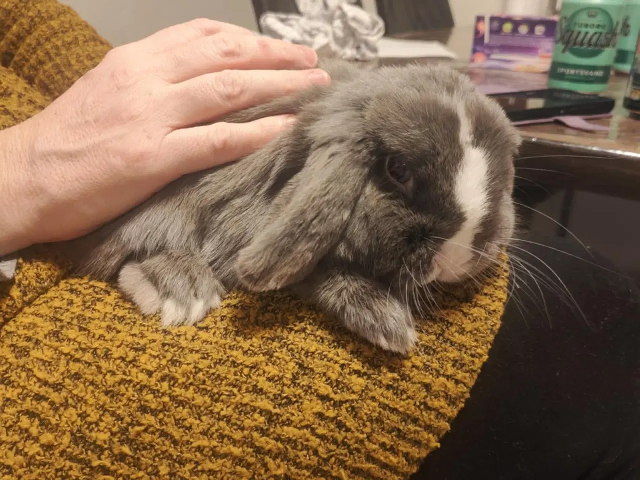 Billede 2 - MiniLoop super tam (haster!)