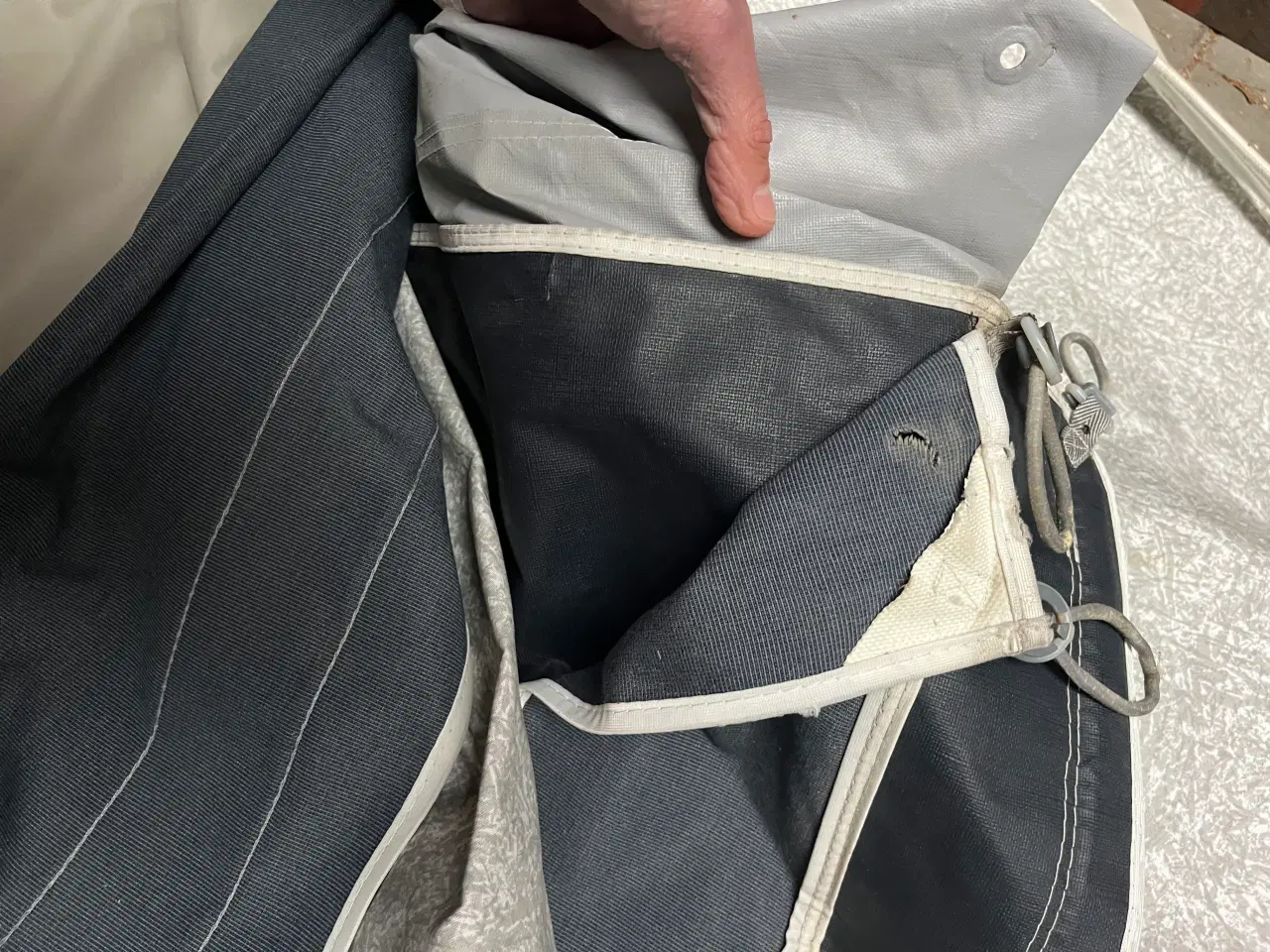 Billede 10 - Isabella Commodore Alpha