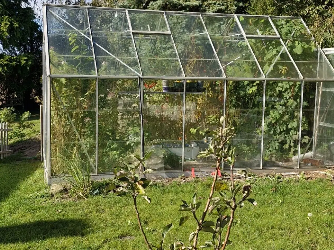Billede 1 - drivhus 11m2 til  selv nedtagning