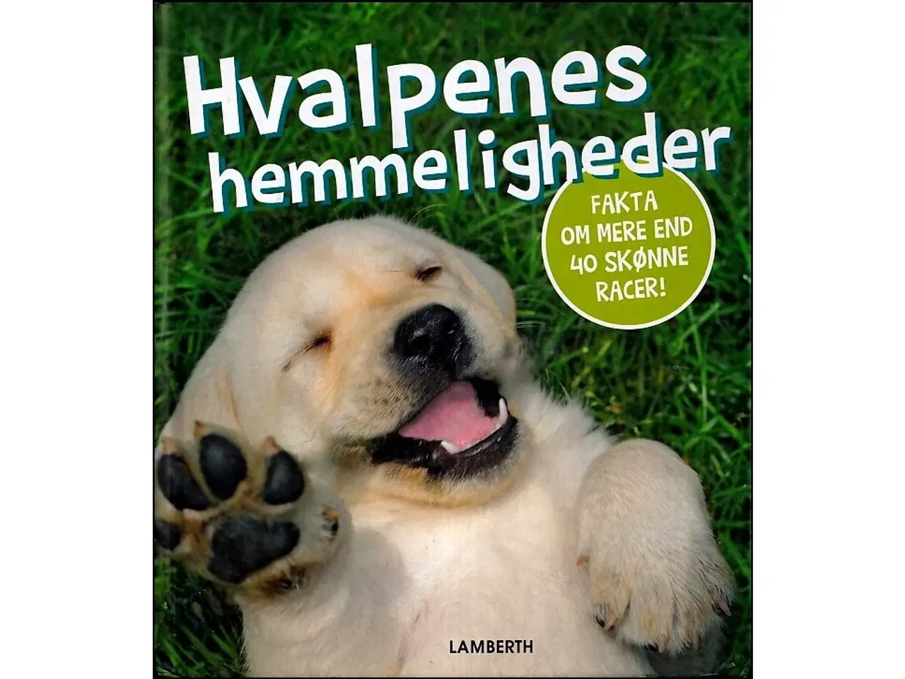 Billede 1 - Hvalpens Hemmeligheder