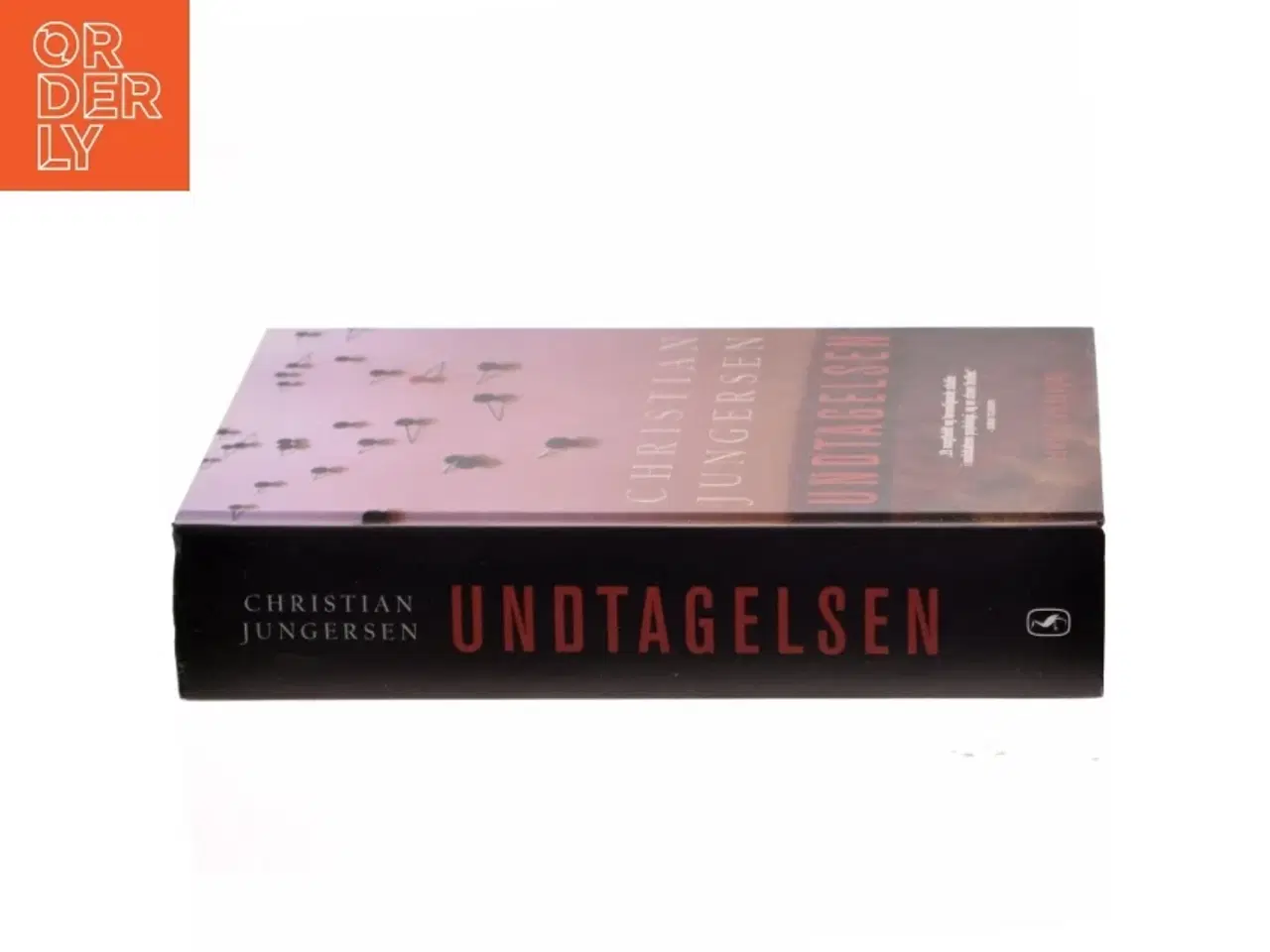 Billede 2 - Undtagelsen af Christian Jungersen (Bog)